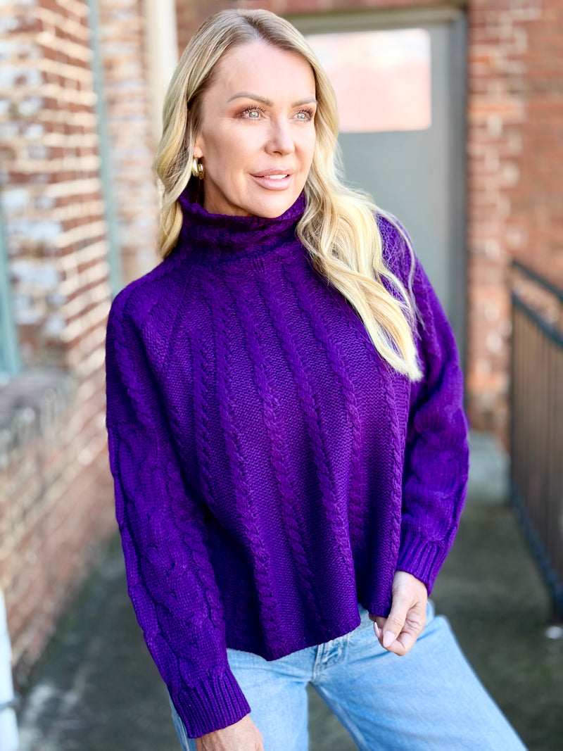 Turtleneck Cable Knit Sweater