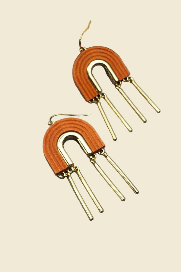 Rainbow Fringe Drop Earrings | Brown