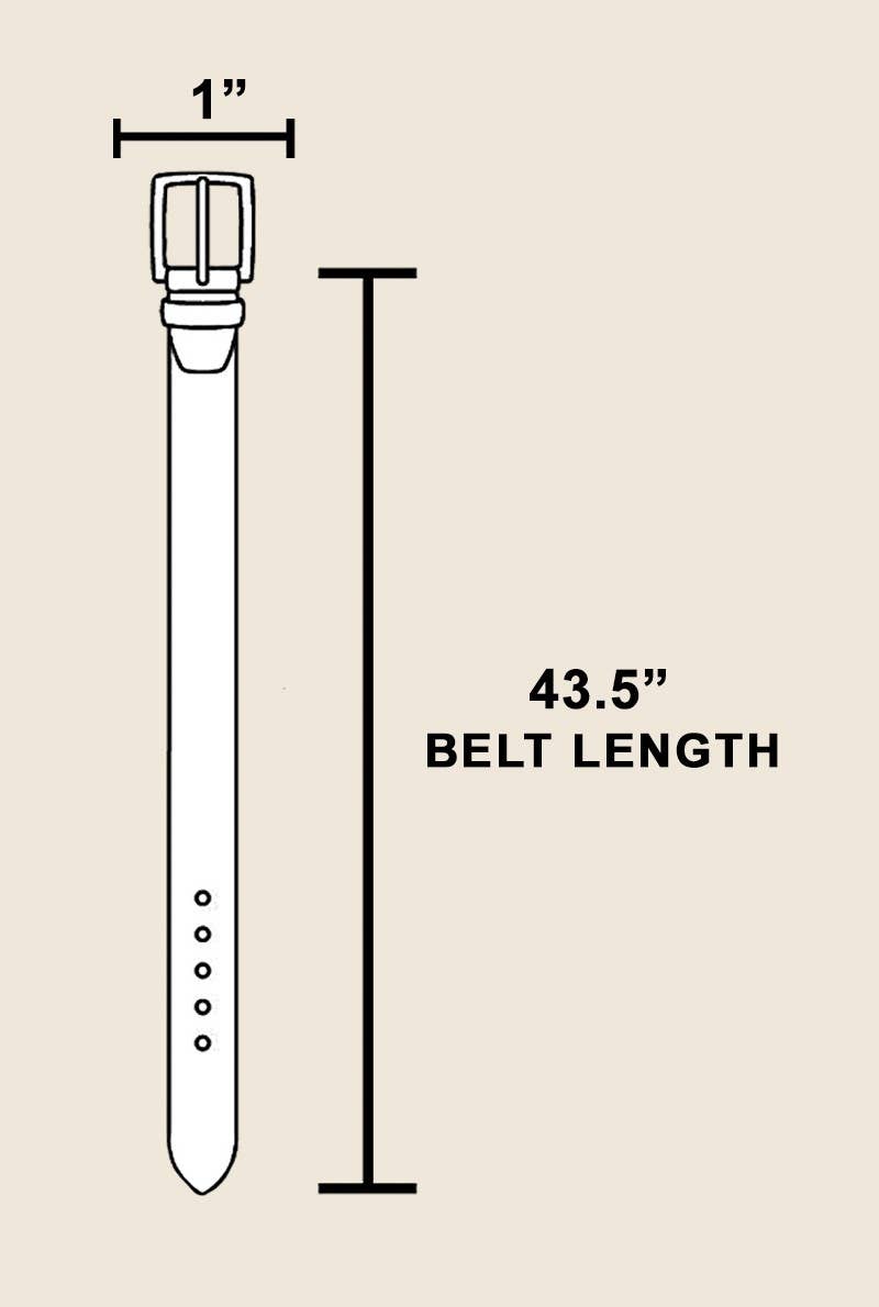 Metallic Studded Belt | Brown
